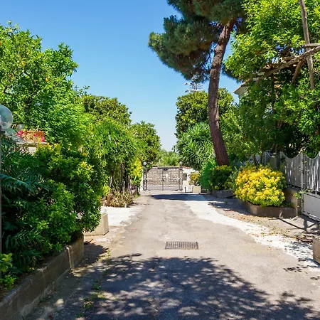 Bright 3 Bedrooms With Seaview Balcony * Sorrento